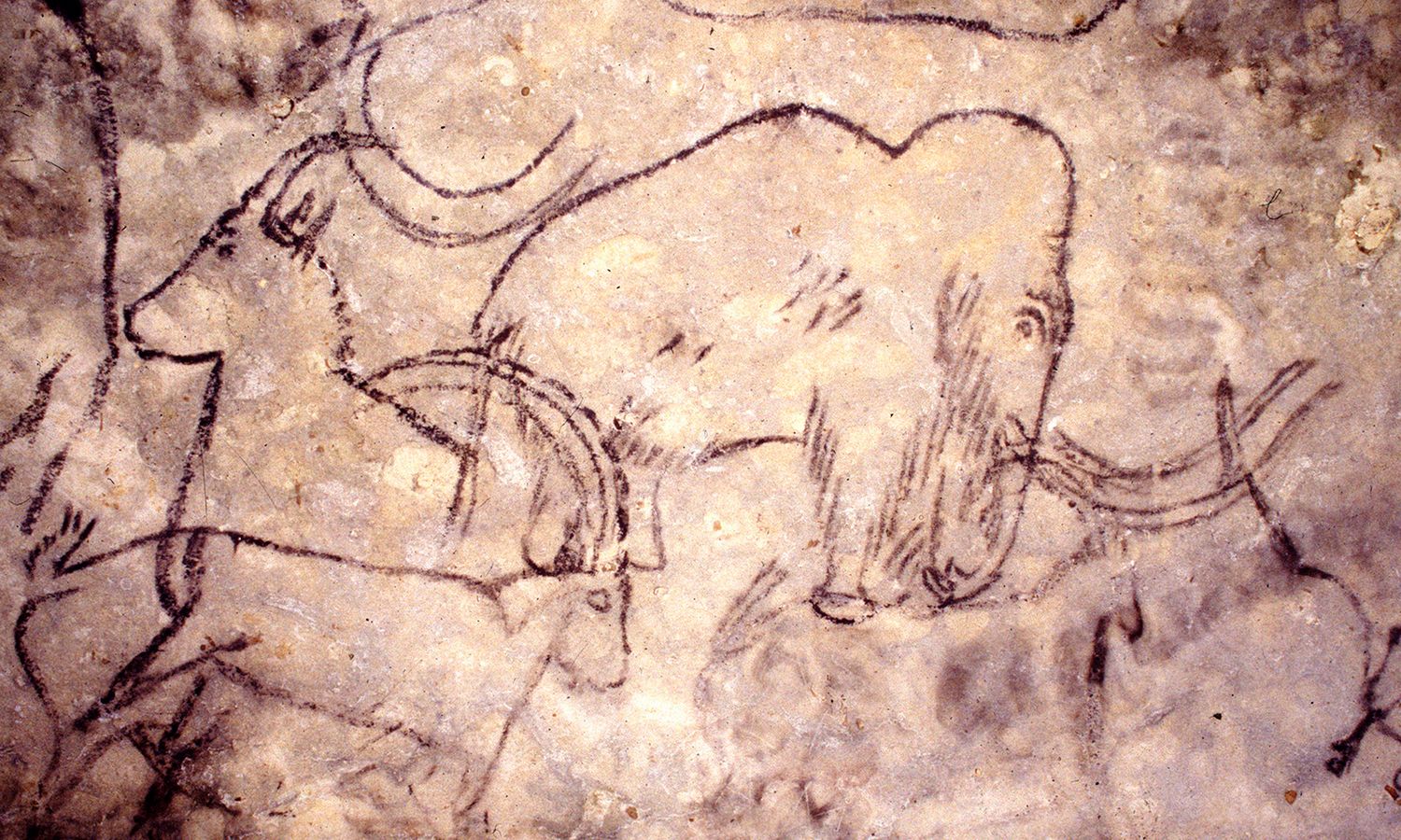 rock painting of a mammoth in a cave
