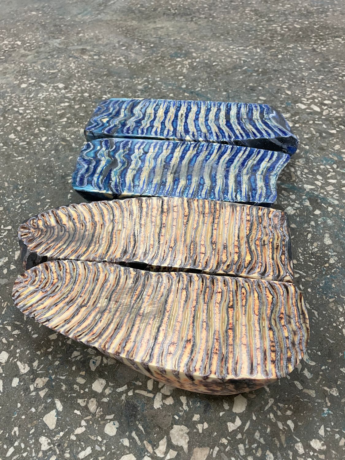 sawn and stabilized mammoth tooth