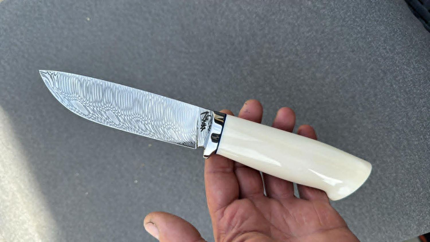 walrusk tusk on knifehandle