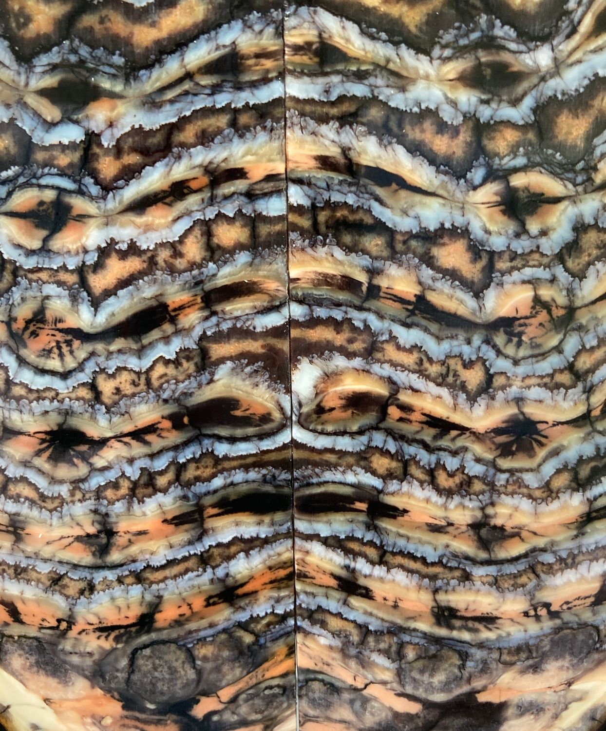 Close-up of stabilized mammoth tooth knife scales showing the material's dense, layered, and highly varied natural texture.