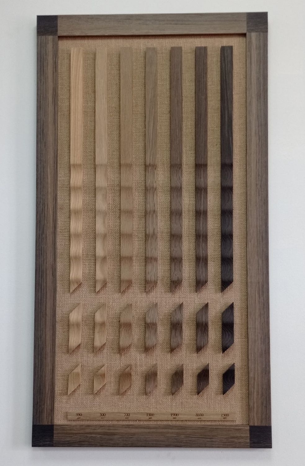 bog oak samples showing different shades according to age, from lighter to darker ancient oak.
