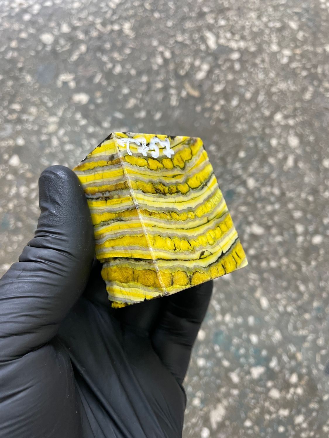 mammoth tooth stabilized spacer block for knife handle T757