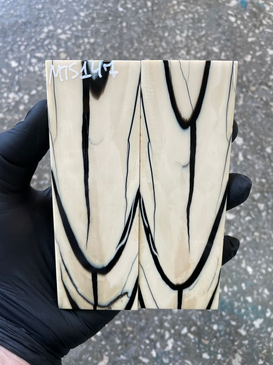 stabilized mammoth tusk knife scales pair fossil handle material MTS147