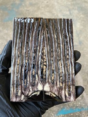 mammoth tooth stabilized knife handle scales pair TOS
187