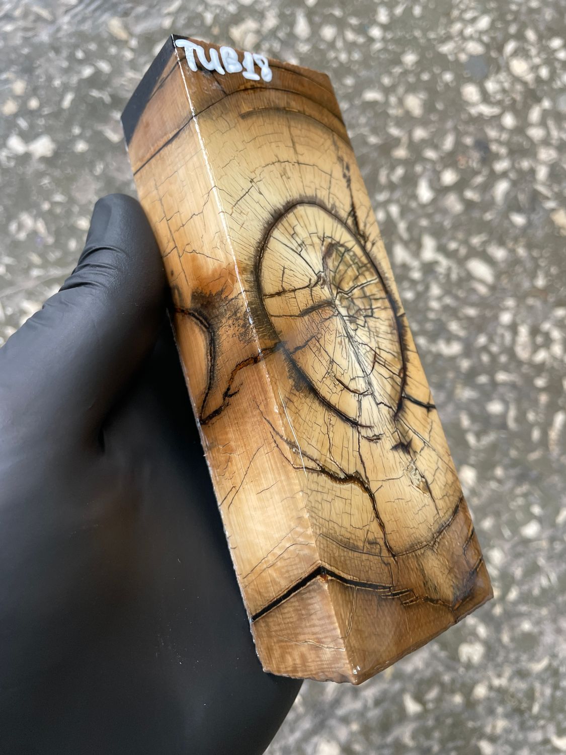 stabilized mammoth tusk block fossil material for knifemaking custom handle TUB18