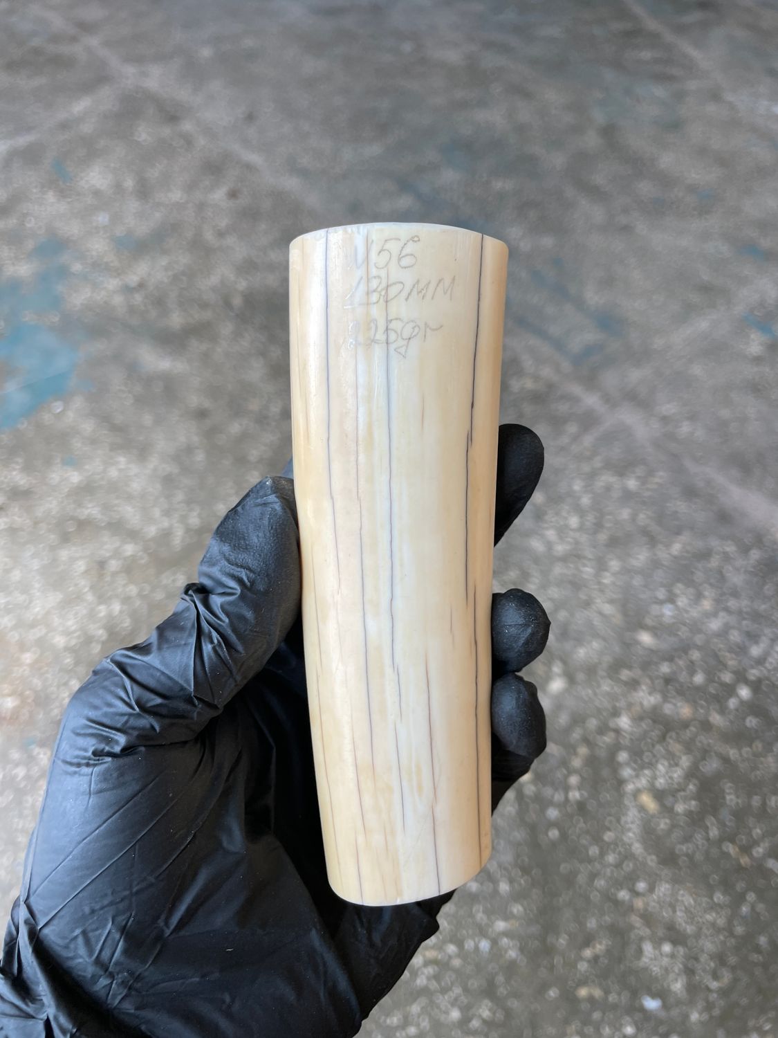 Walrus Tusk Block for Scrimshaw Carving Knife Handle Material 0.49 lb W56