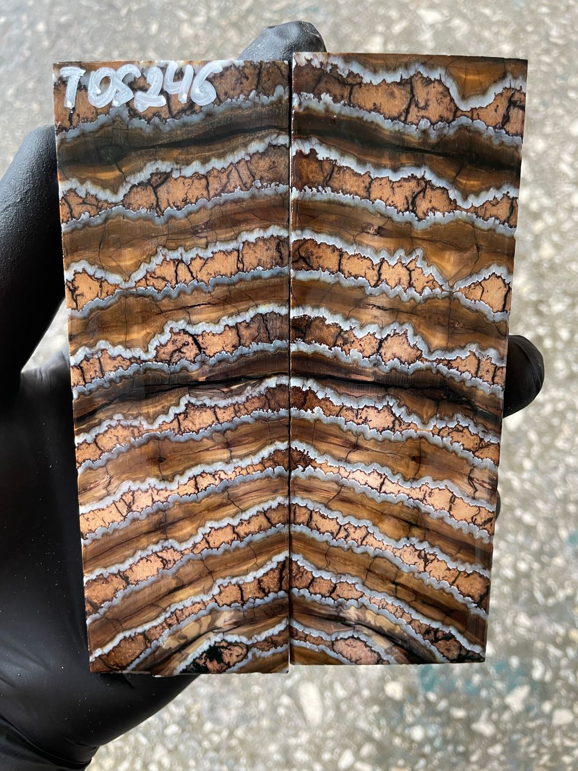 Mammoth Tooth Knife Handle Scales Stabilized Pair 5.15-1.81-0.39 inch TOS246
