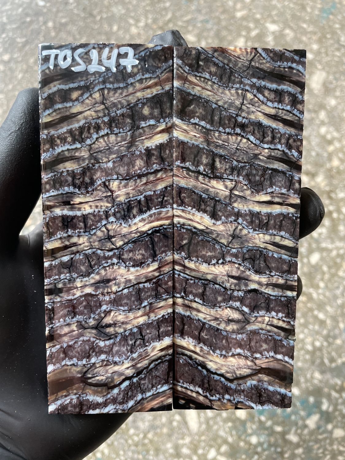 Mammoth Tooth Knife Handle Scales Stabilized Pair 5.19-1.81-0.39 inch TOS247
