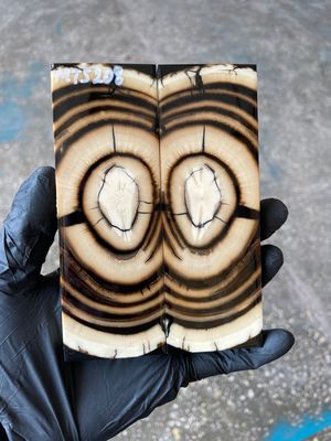 Mammoth Tusk Knife Scales Pair – Stabilized Fossil Handle Material for Knifemaking 5.35×1.88×0.47 inch MTS208