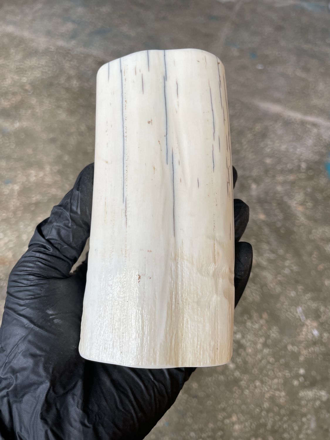 Walrus Tusk Block for Scrimshaw Carving Knife Handle Material 1.26 lb W68