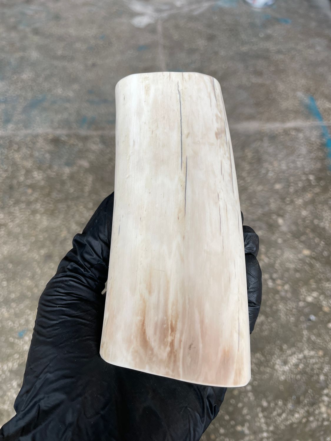 Walrus Tusk Block for Scrimshaw Carving Knife Handle Material 1.10 lb W74