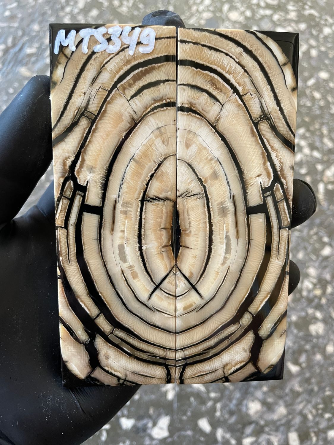 Mammoth Tusk Knife Scales Pair – Stabilized Fossil Handle Material for Knifemaking 5.0×1.61×0.31 inch MTS349