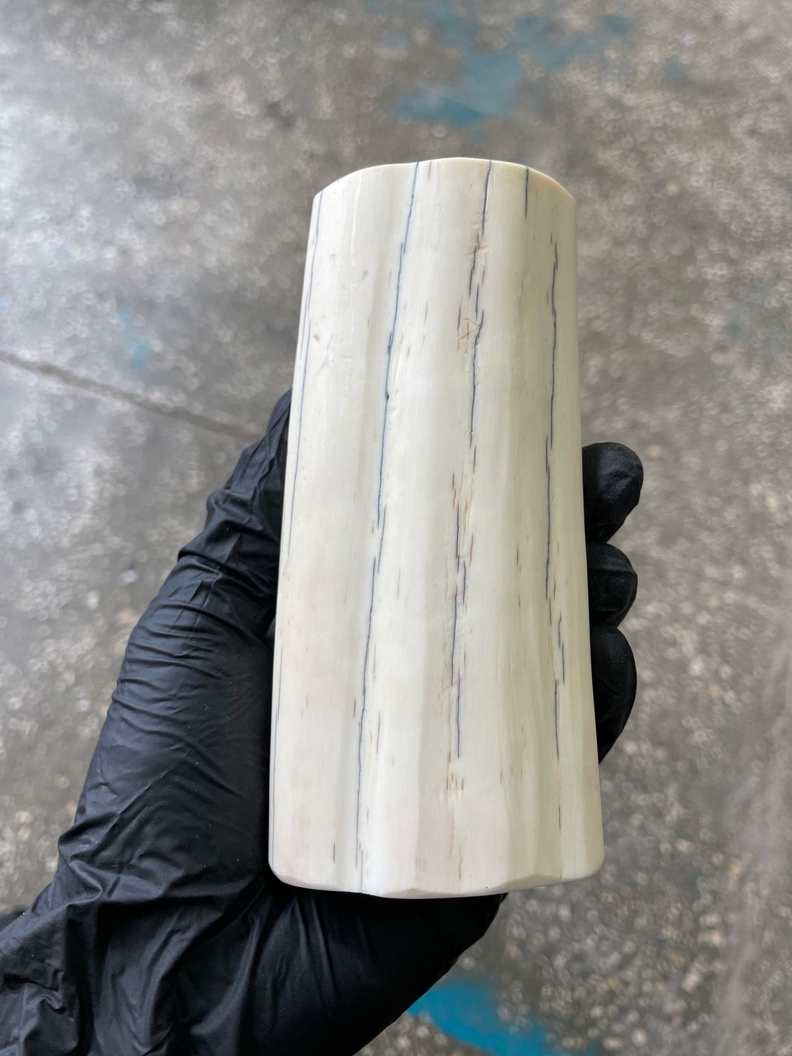 Walrus Tusk Block for Scrimshaw Carving Knife Handle Material 0.95 lb W64