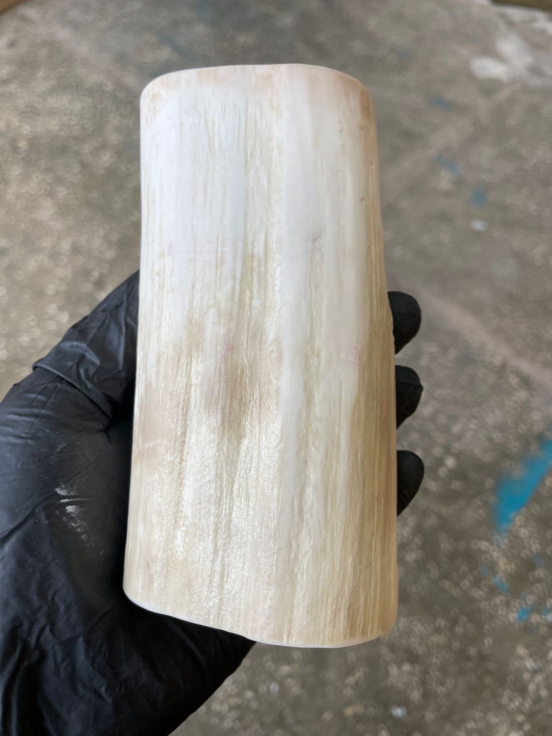 Walrus Tusk Block for Scrimshaw Carving Knife Handle Material 1.39 lb W66
