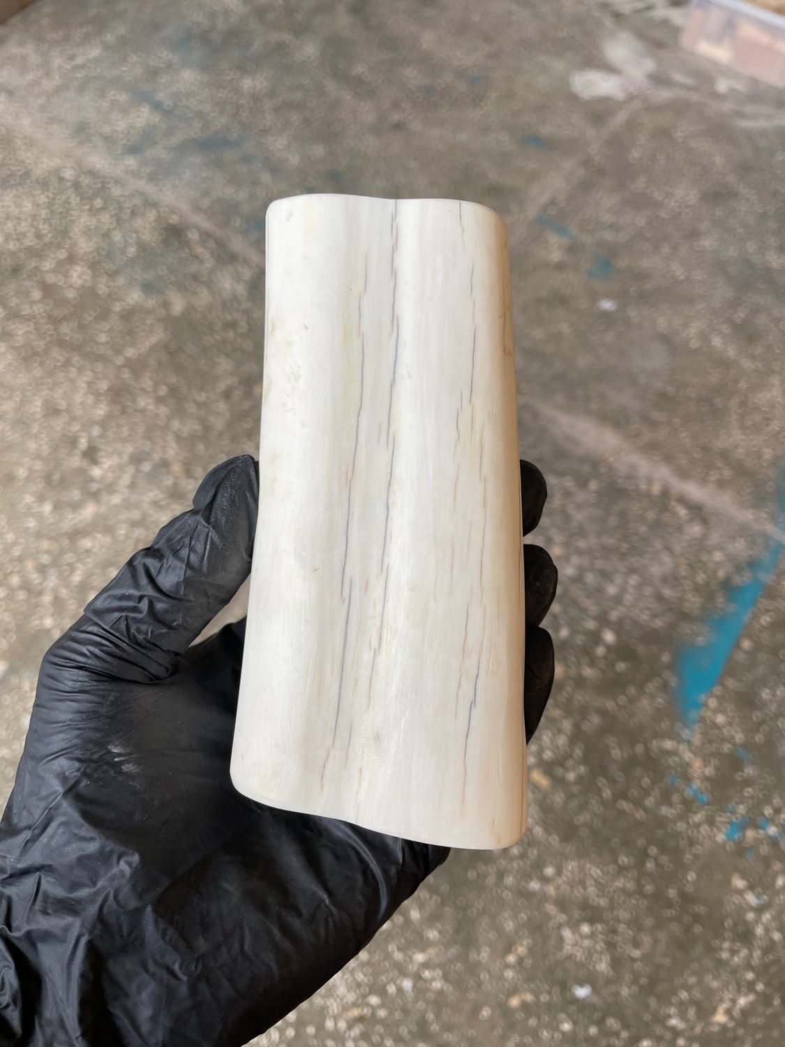Walrus Tusk Block for Scrimshaw Carving Knife Handle Material 1.10 lb W67