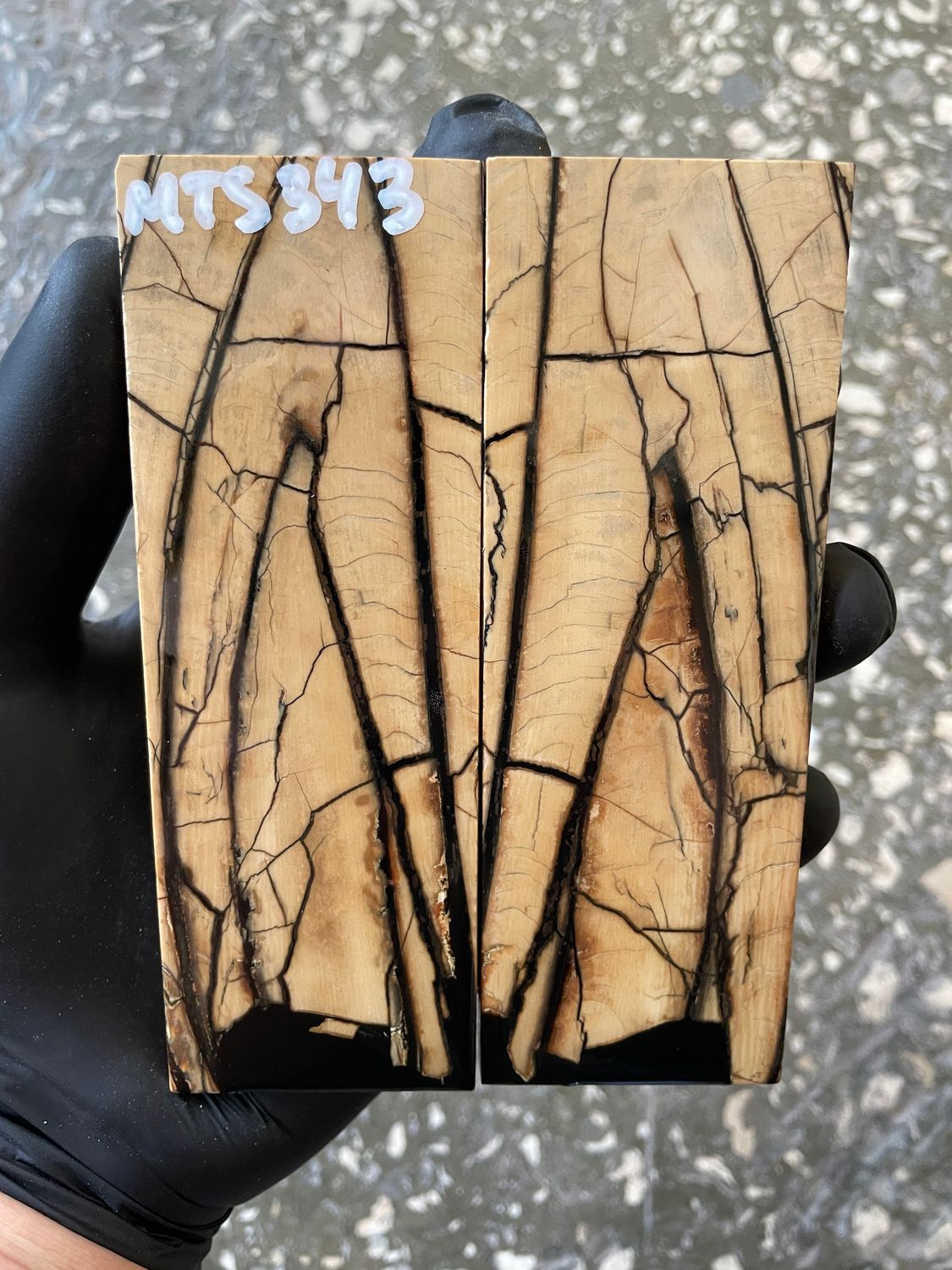 Mammoth Tusk Knife Scales Pair – Stabilized Fossil Handle Material for Knifemaking 5.11×1.85×0.35 inch MTS343
