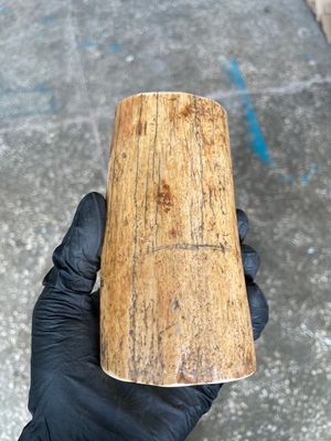 Walrus Tusk Block for Scrimshaw Carving Knife Handle Material 1.24 lb W87