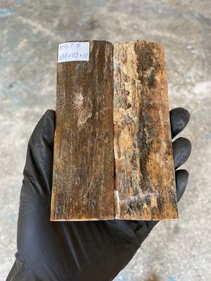 Mammoth Bark Tusk Knife Scales Fossil Pair 5.27×1.69×0.43 inch​​ MBT7