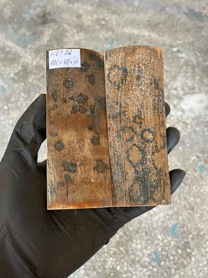 Mammoth Bark Tusk Knife Scales Fossil Pair 4.96×1.88×0.43 inch​​ MBT26