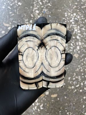 Mammoth Tusk Knife Scales Pocket Size Stabilized Pair 3.70-1.29-0.31 inch MTP11