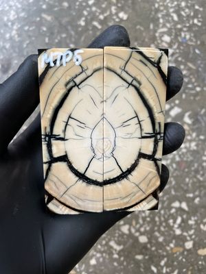 Mammoth Tusk Knife Scales Pocket Size Stabilized Pair 3.70-1.33-0.31 inch MTP5