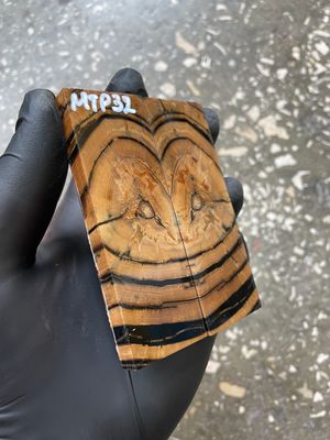 Mammoth Tusk Knife Scales Pocket Size Stabilized Pair 3.66-1.29- 0.27 inch MTP32