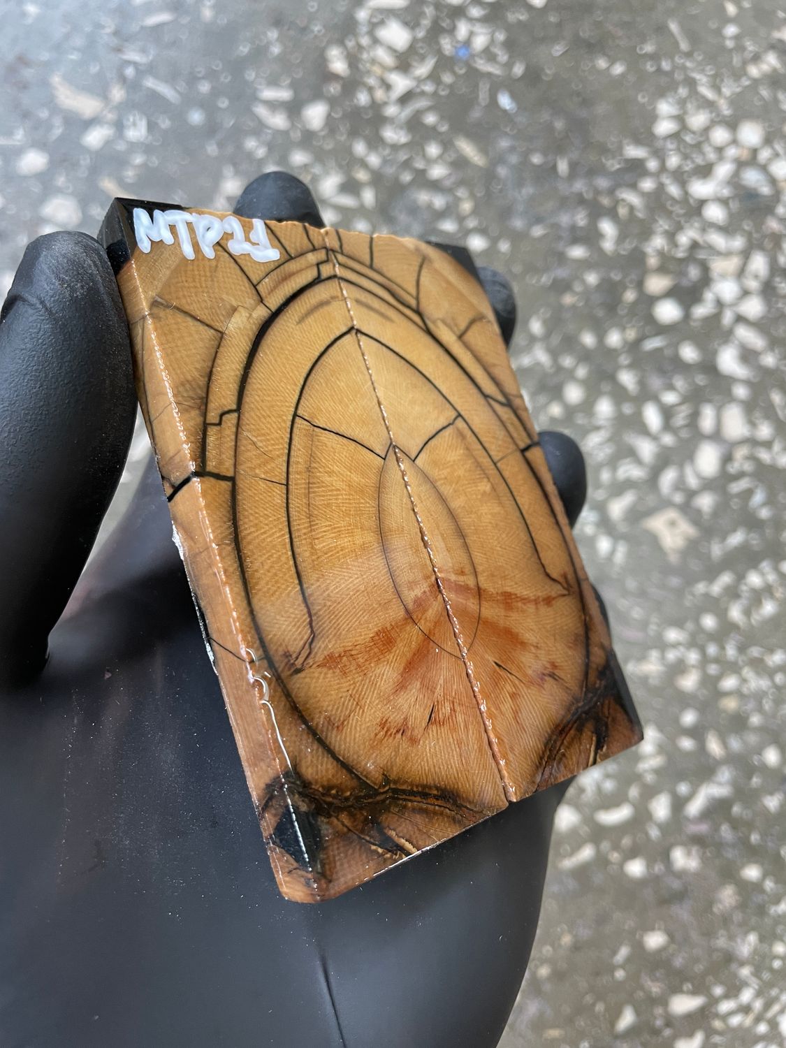 Mammoth Tusk Knife Scales Pocket Size Stabilized Pair 3.66-1.29-0.31 inch MTP21