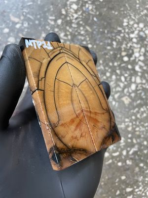 Mammoth Tusk Knife Scales Pocket Size Stabilized Pair 3.66-1.29-0.31 inch MTP21