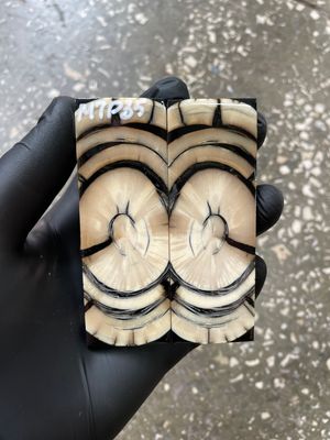 Mammoth Tusk Knife Scales Pocket Size Stabilized Pair 3.66-1.29- 0.27 inch MTP35