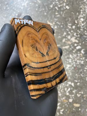 Mammoth Tusk Knife Scales Pocket Size Stabilized Pair 3.66-1.29- 0.27 inch MTP44