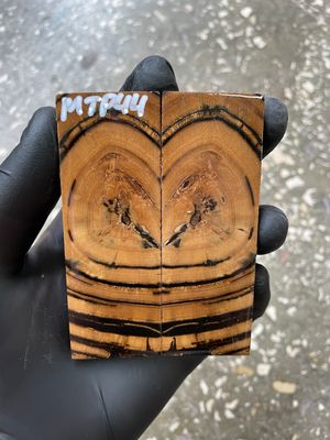 Mammoth Tusk Knife Scales Pocket Size Stabilized Pair 3.66-1.29- 0.27 inch MTP44