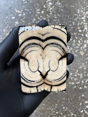 Mammoth Tusk Knife Scales Pocket Size Stabilized Pair 3.85-1.29-0.27 inch MTP20