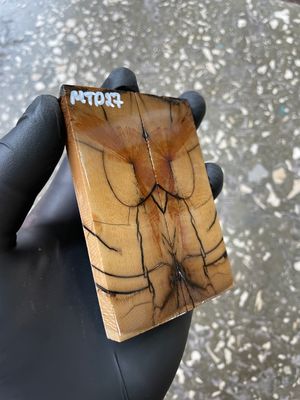 Mammoth Tusk Knife Scales Pocket Size Stabilized Pair 3.66-1.29- 0.27 inch MTP27
