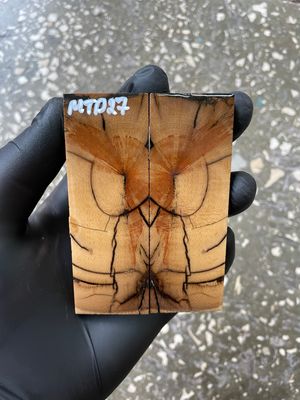 Mammoth Tusk Knife Scales Pocket Size Stabilized Pair 3.66-1.29- 0.27 inch MTP27