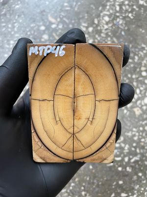Mammoth Tusk Knife Scales Pocket Size Stabilized Pair 3.66-1.29- 0.27 inch MTP46