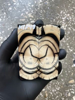 Mammoth Tusk Knife Scales Pocket Size Stabilized Pair 3.66-1.29- 0.27 inch MTP49
