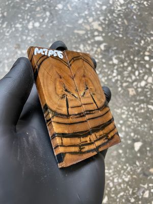 Mammoth Tusk Knife Scales Pocket Size Stabilized Pair 3.66-1.29- 0.27 inch MTP55