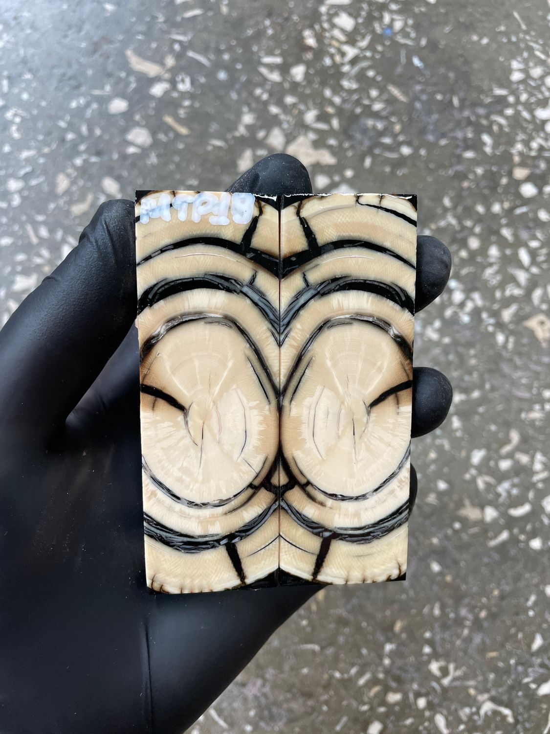 Mammoth Tusk Knife Scales Pocket Size Stabilized Pair 3.81-1.29-0.27 inch MTP19