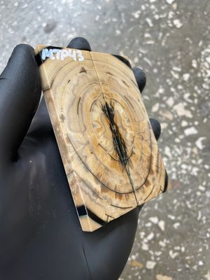 Mammoth Tusk Knife Scales Pocket Size Stabilized Pair 3.66-1.29- 0.27 inch MTP43