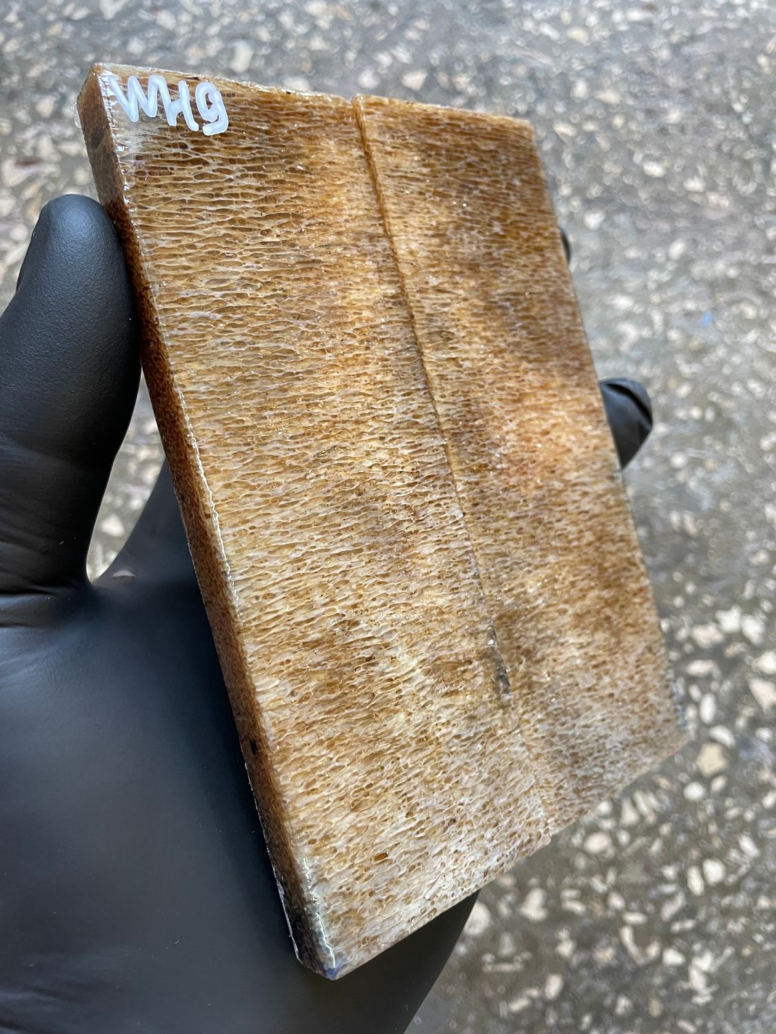 Whale Vertebra Knife Scales Pair Stabilized  – Fossil Handle Material for Knifemaking  5.11-1.77-0.39 inch WH9