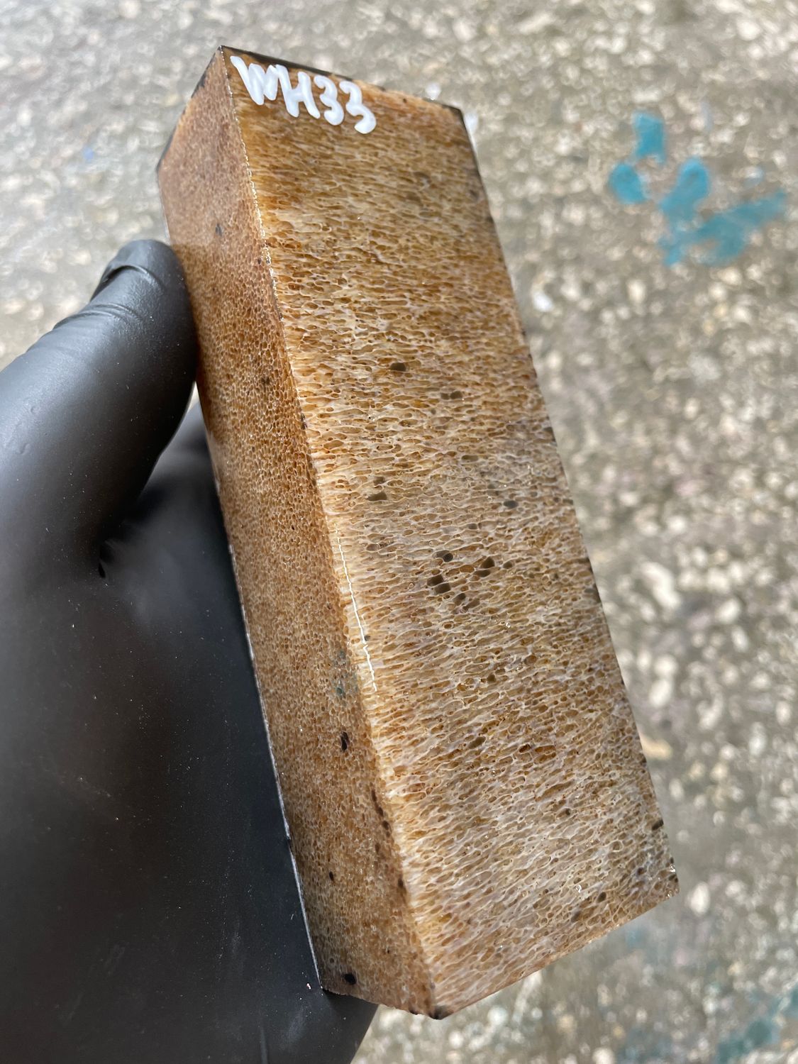 Whale Vertebra Knife Scales Pair Stabilized  – Fossil Handle Material for Knifemaking  5.23-1.81-1.10 inch WH33