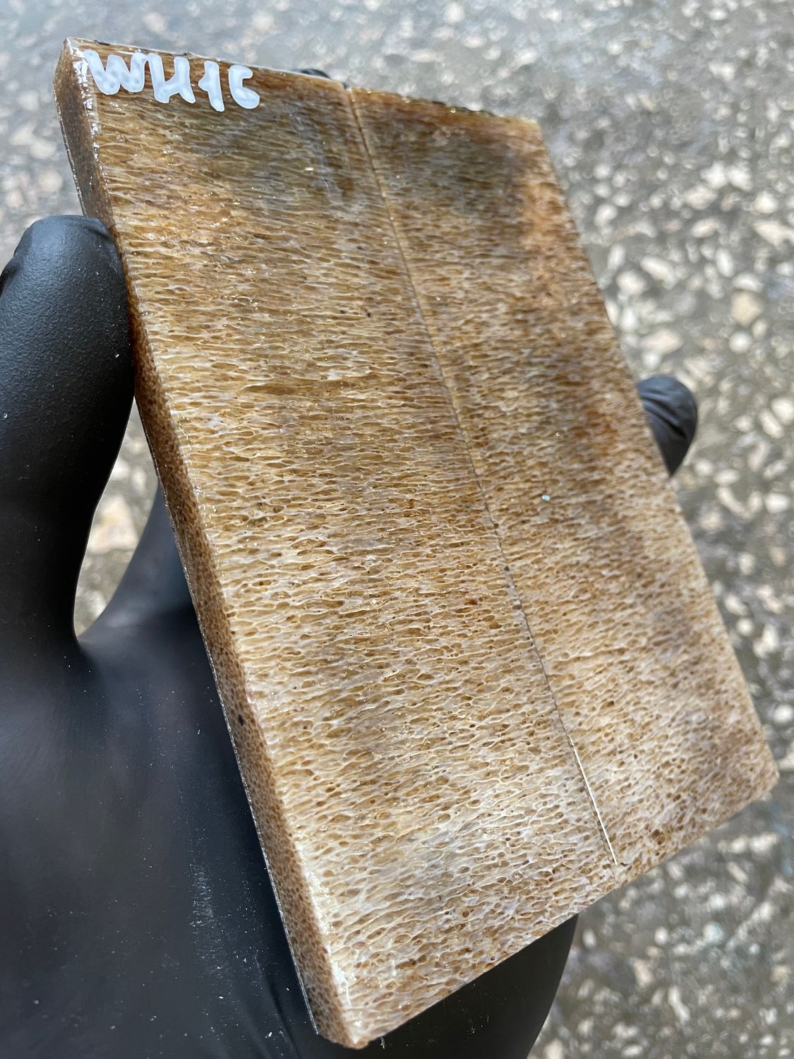 Whale Vertebra Knife Scales Pair Stabilized  – Fossil Handle Material for Knifemaking  5.11-1.77-0.39 inch WH16
