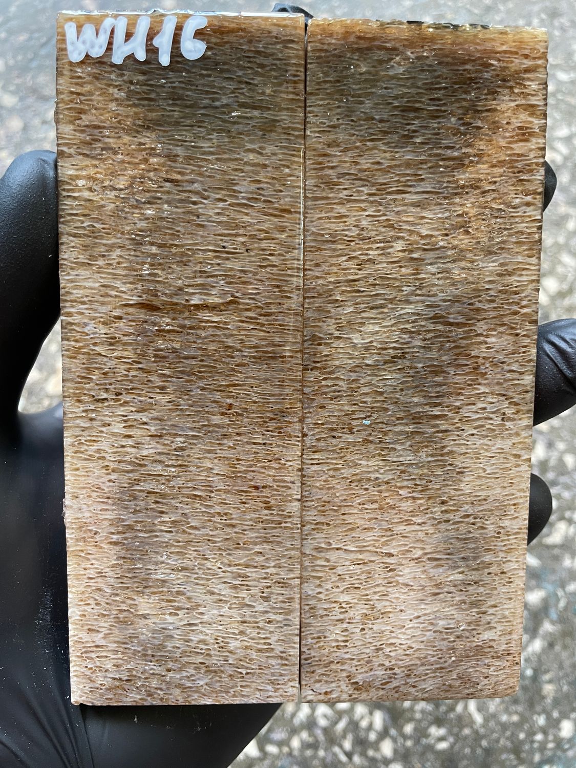 Whale Vertebra Knife Scales Pair Stabilized  – Fossil Handle Material for Knifemaking  5.11-1.77-0.39 inch WH16