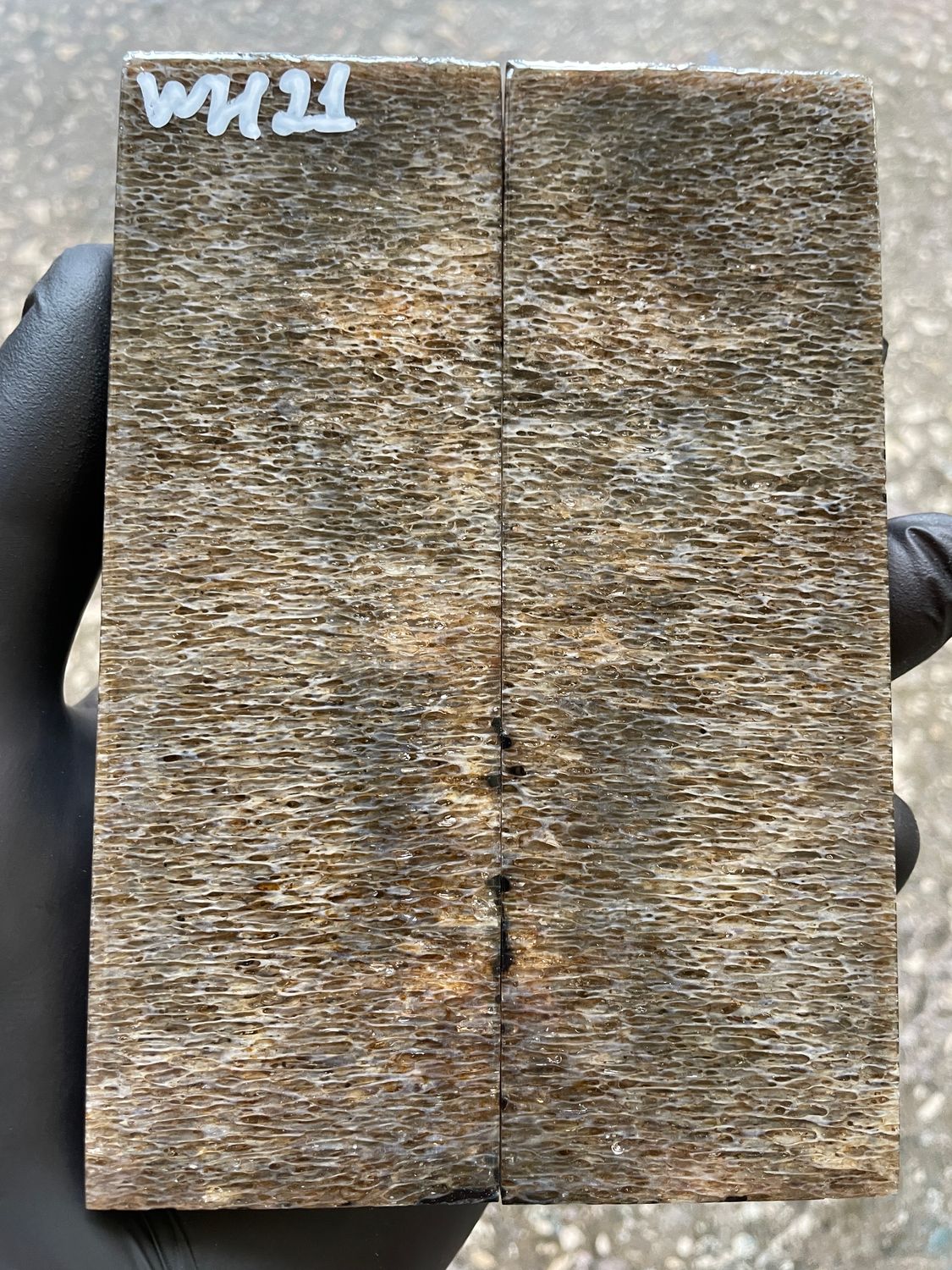 Whale Vertebra Knife Scales Pair Stabilized  – Fossil Handle Material for Knifemaking  5.11-1.77-0.39 inch WH21