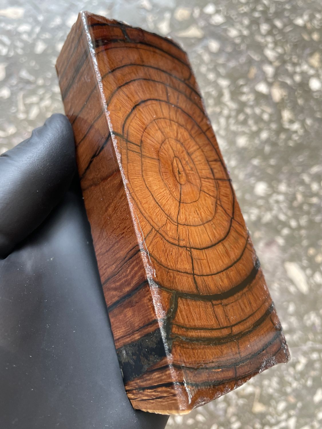 Mammoth Tusk Block Stabilized – Fossil Knife Handle Material for Custom Knives 5.11-1.85-1.14 inch TUB35