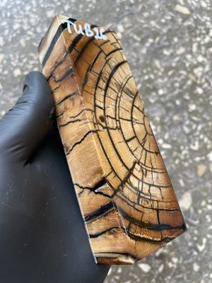 Mammoth Tusk Block Stabilized – Fossil Knife Handle Material for Custom Knives 5.27-1.77-1.18 inch TUB26