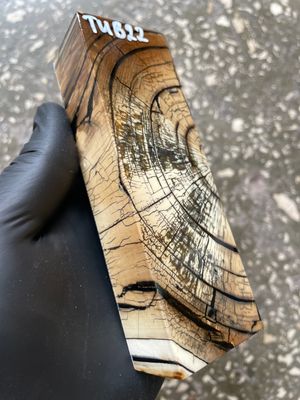 Mammoth Tusk Block Stabilized – Fossil Knife Handle Material for Custom Knives 5.19-1.73-1.10 inch TUB22