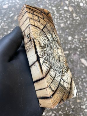 Mammoth Tusk Block Stabilized – Fossil Knife Handle Material for Custom Knives 5.19-1.73-1.10 inch TUB22