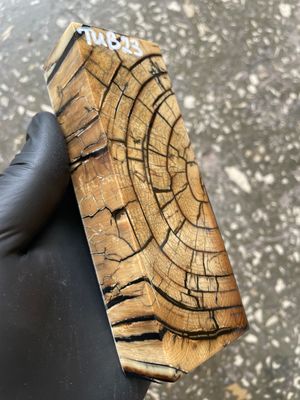 Mammoth Tusk Block Stabilized – Fossil Knife Handle Material for Custom Knives 5.23-1.65-1.10 inch TUB23