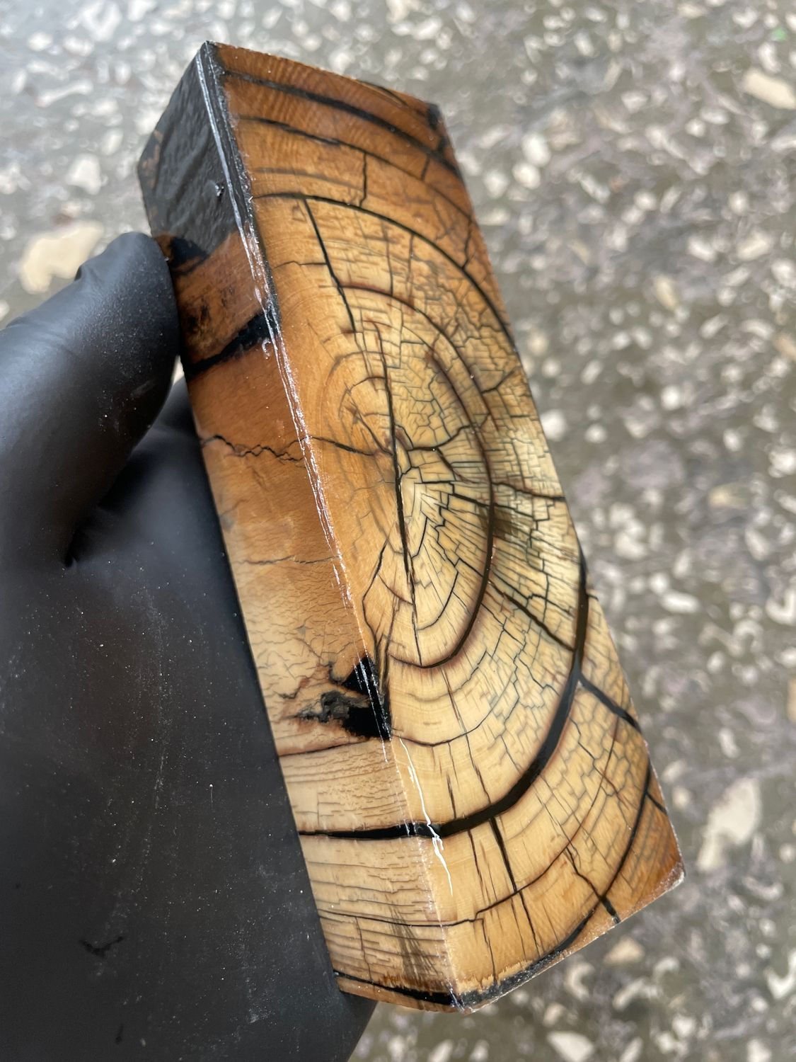 Mammoth Tusk Block Stabilized – Fossil Knife Handle Material for Custom Knives 5.23-1.81-1.10 inch TUB31